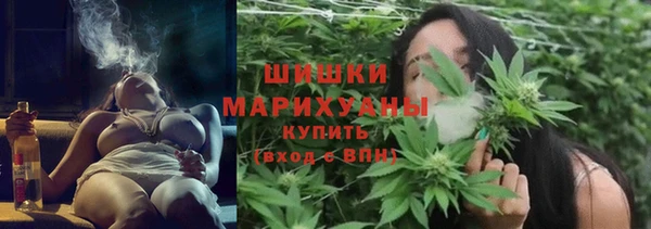 гашик Кулебаки