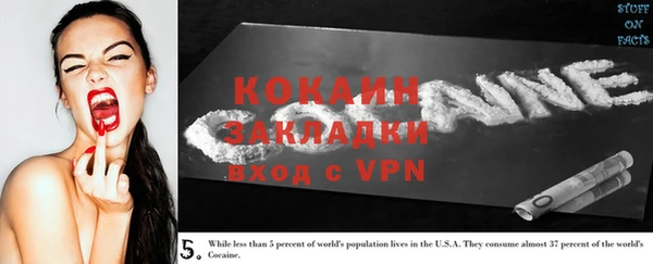 гашик Кулебаки