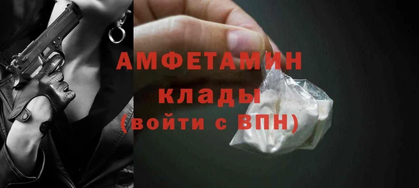 молекула духа Краснослободск