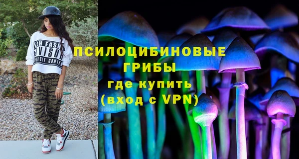 молекула духа Краснослободск