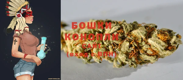 гашик Кулебаки