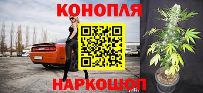 дмт Майкоп